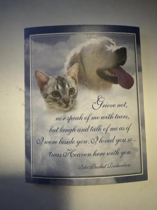 Wilson's Creek Animal Hospital 7