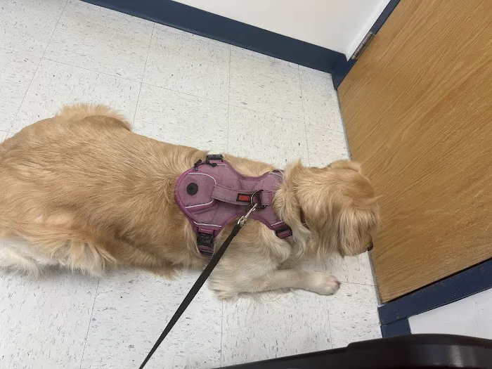 Wilson's Creek Animal Hospital 5
