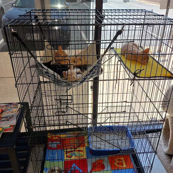 Wilson's Creek Animal Hospital 9