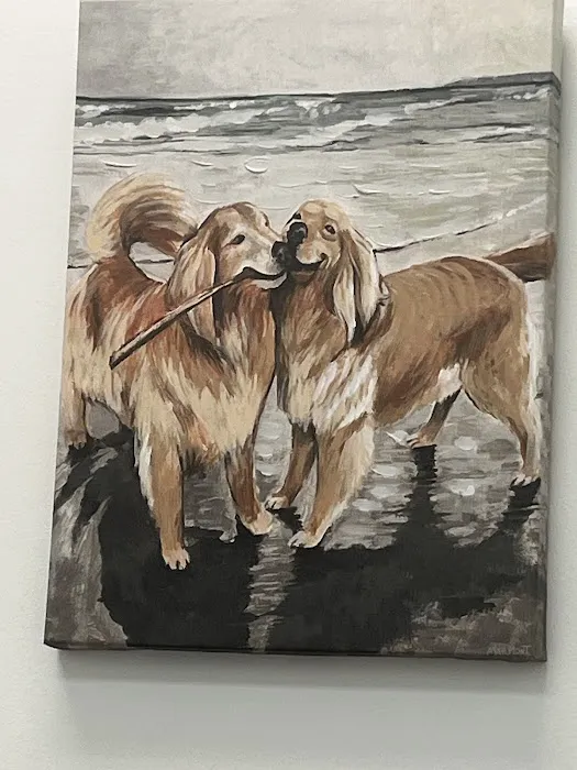 Wilson's Creek Animal Hospital 3