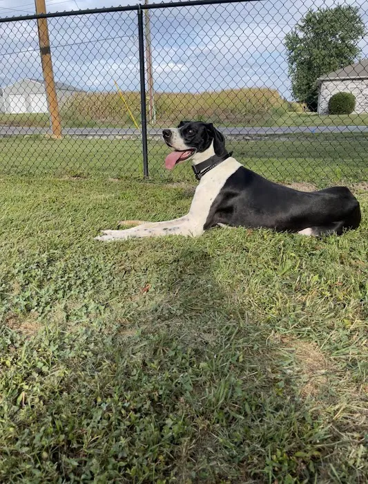 Marion Veterinary Clinic 10