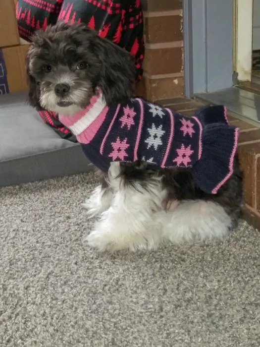 Marion Veterinary Clinic 7