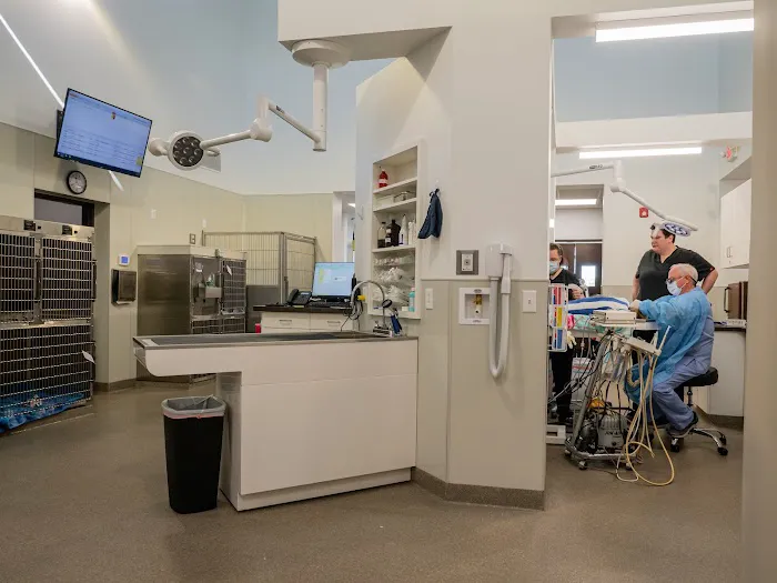 Pet Wellness Center PC 3