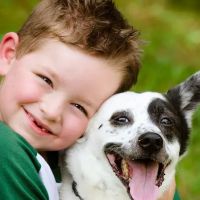 Quality Care Animal Hospital ico