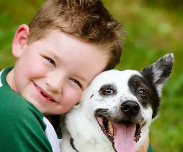 Quality Care Animal Hospital