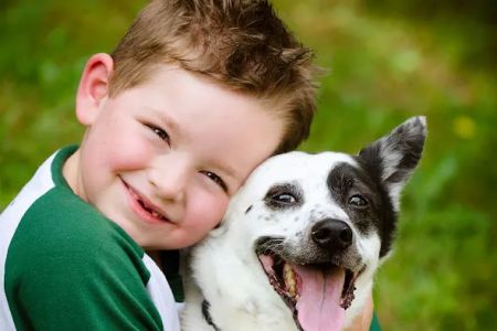 Quality Care Animal Hospital