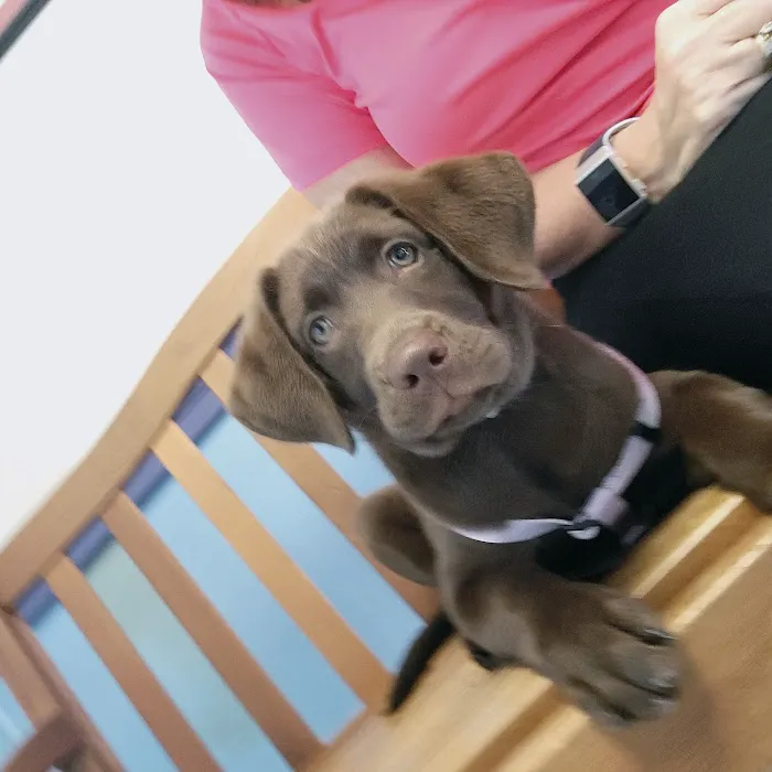 Quality Care Animal Hospital 12