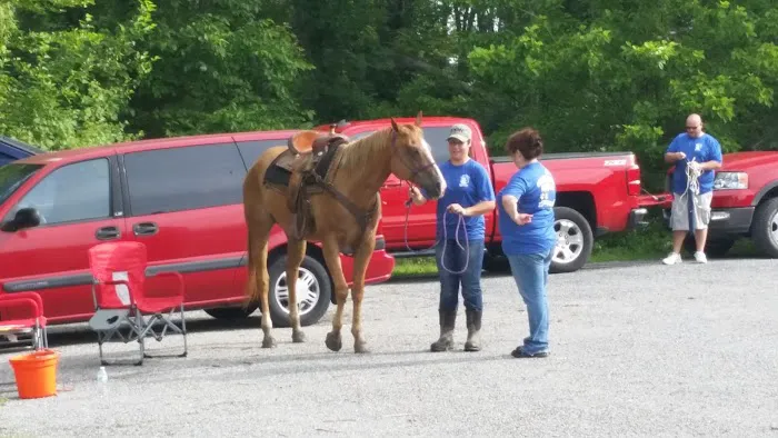 Central Hospital For Animals - Herrin 12