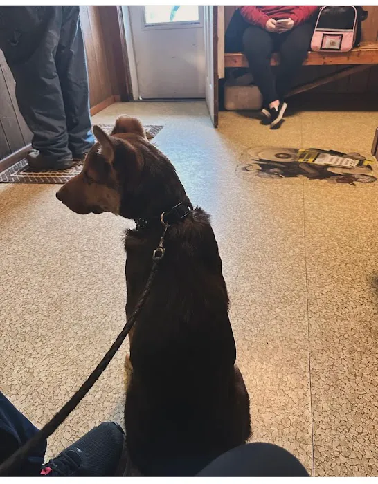 Murphysboro Veterinary Clinic 12