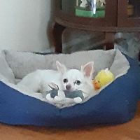 Murphysboro Veterinary Clinic ico