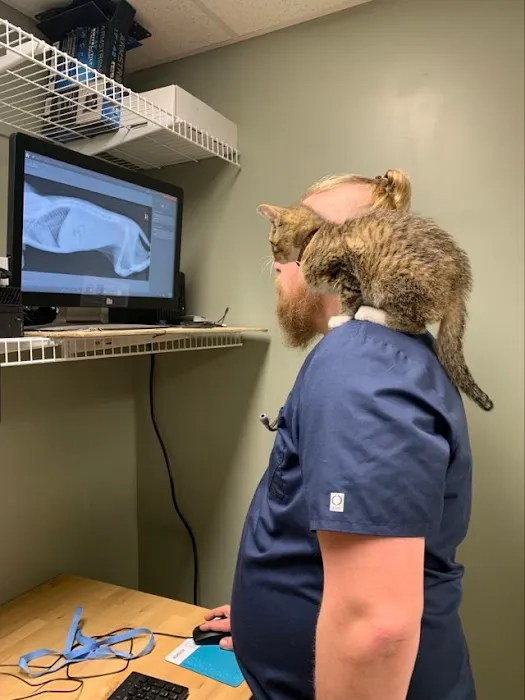 Solid Rock Veterinary Clinic 12