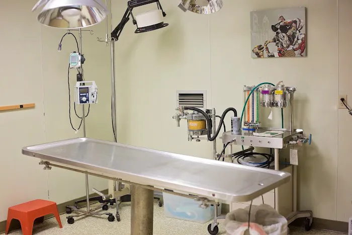 Striegel Animal Hospital 12