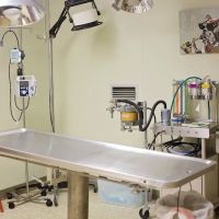Striegel Animal Hospital ico