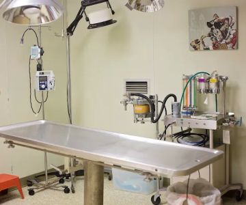 Striegel Animal Hospital