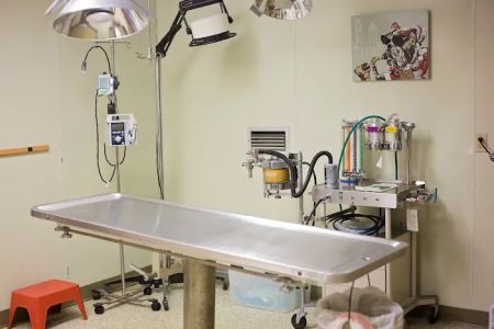 Striegel Animal Hospital