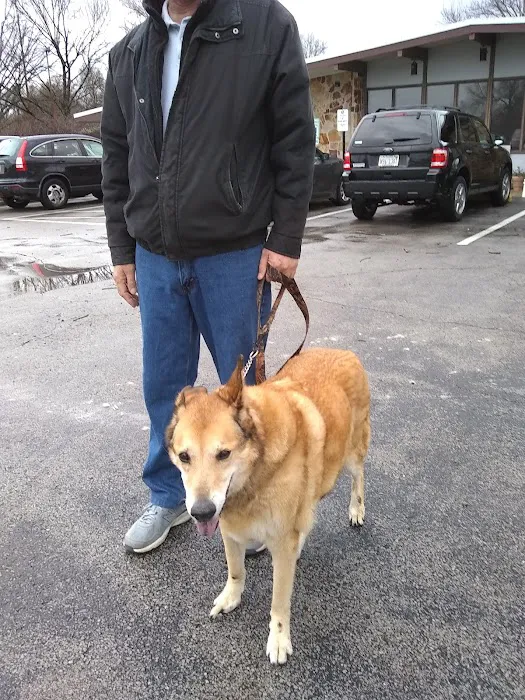 Striegel Animal Hospital 12