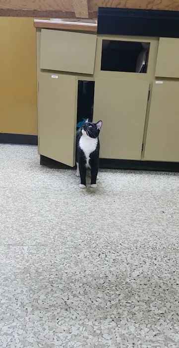 Striegel Animal Hospital 12