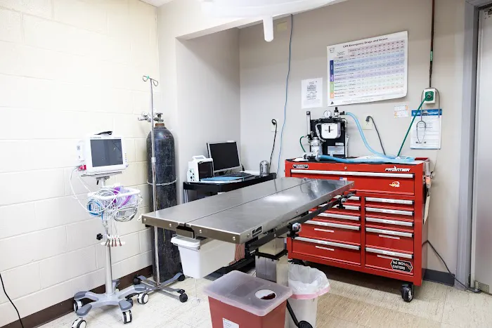 Lakeside Veterinary Hospital 12