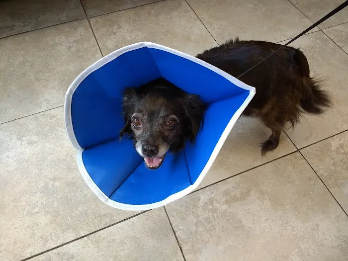 Lakeside Veterinary Hospital 12