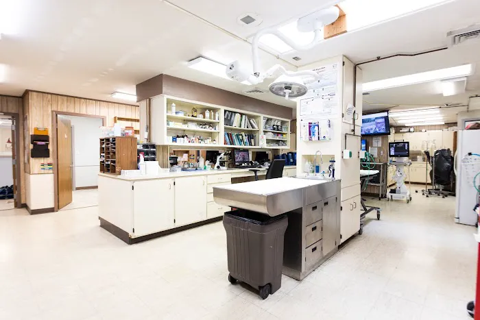 Lakeside Veterinary Hospital 12
