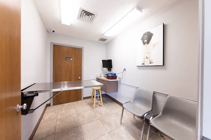 Lakeside Veterinary Hospital 12
