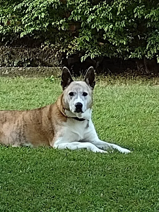 Lakeside Veterinary Clinic 12