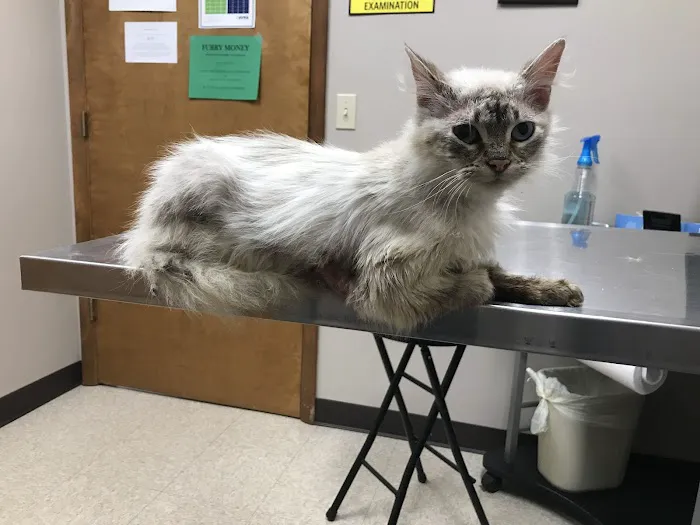 Lakeside Veterinary Clinic 12