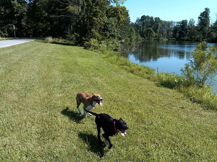 Lakeside Veterinary Clinic 12