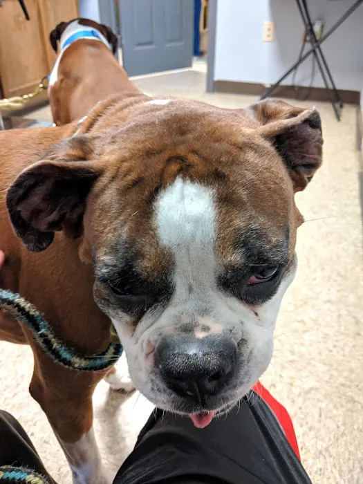 Harrisburg Veterinary Clinic 1