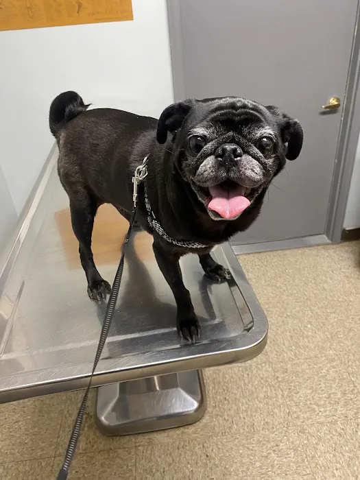 Harrisburg Veterinary Clinic 8