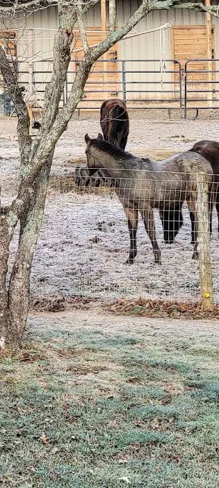 Beasley Equine Clinic 10