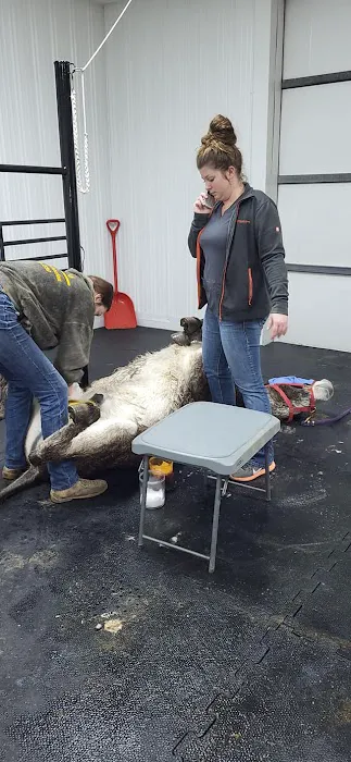 Beasley Equine Clinic 5