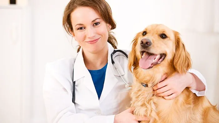 Newton Veterinary Clinic 12