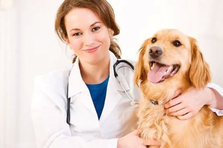 Newton Veterinary Clinic