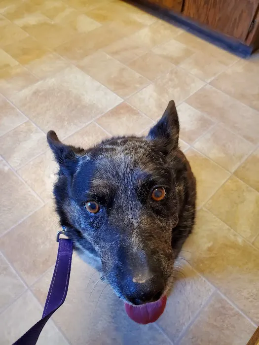 Newton Veterinary Clinic 12