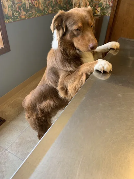 Newton Veterinary Clinic 12