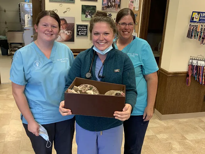 Newton Veterinary Clinic 12