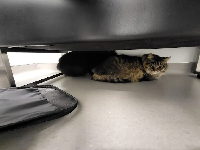 Blair Animal Hospital 1