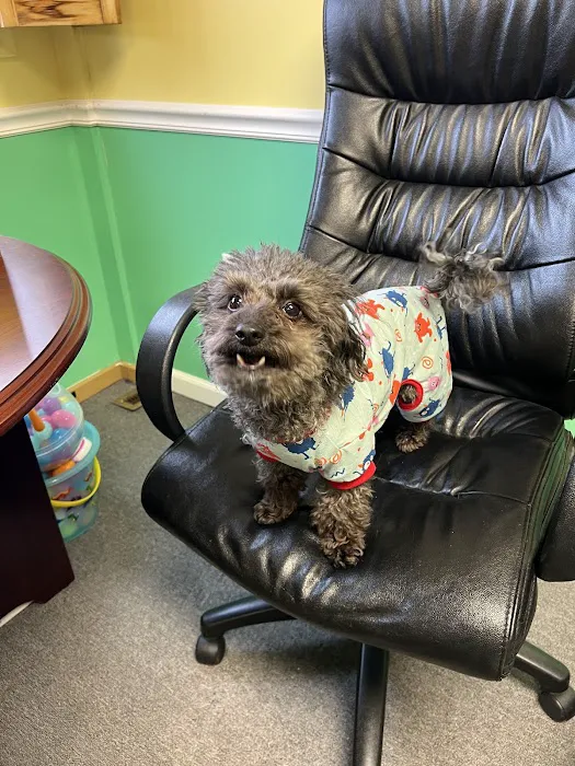 Blair Animal Hospital 10