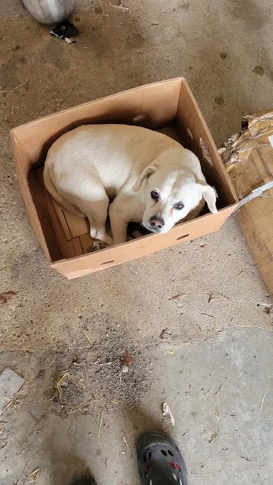 Kahoka Veterinary Clinic 12
