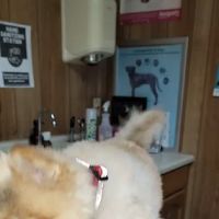 Tri-City Small Animal Clinic ico