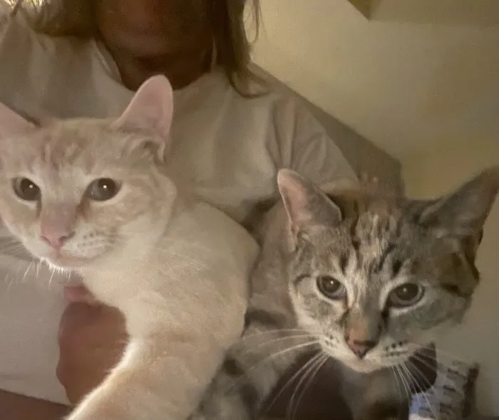 Alamo Animal Clinic 8