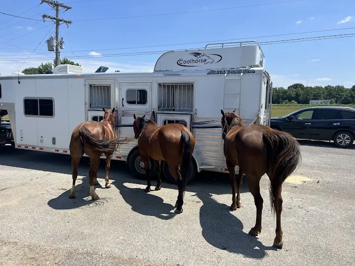 Alamo Animal Clinic 3
