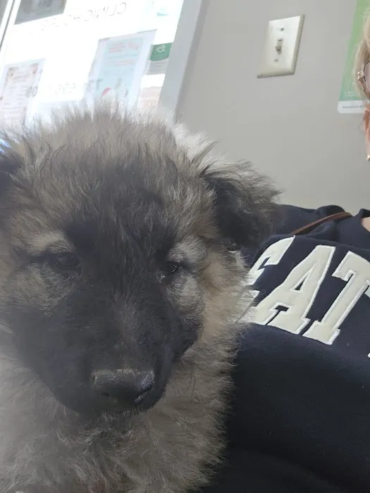 Alamo Animal Clinic 4