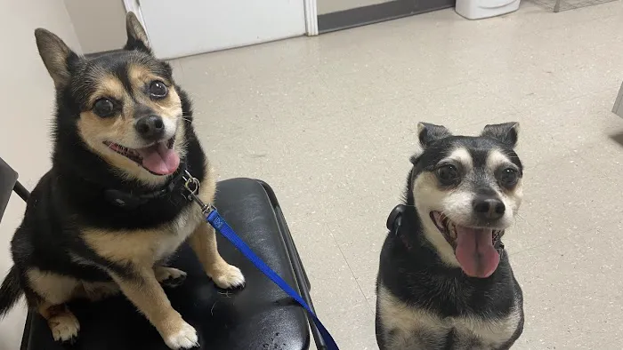 Alamo Animal Clinic 7