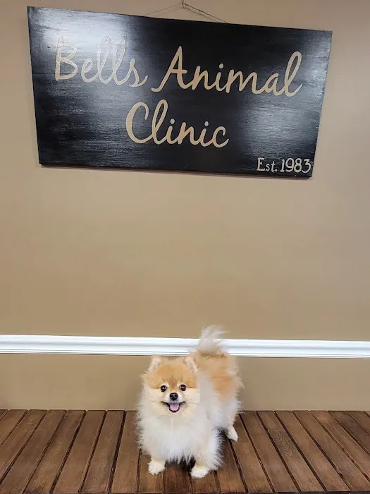 Bells Animal Clinic 1