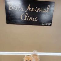 Bells Animal Clinic ico