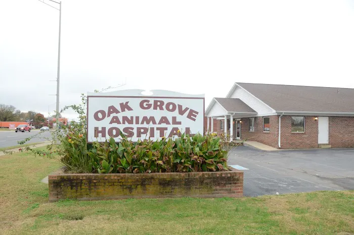 Oak Grove Animal Hospital 12