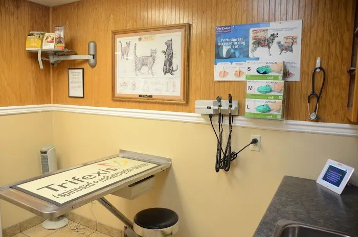 Oak Grove Animal Hospital 12