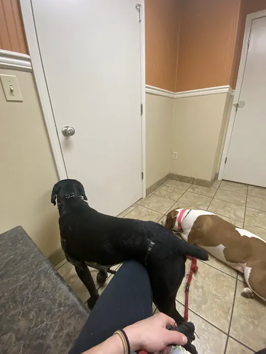 Oak Grove Animal Hospital 12